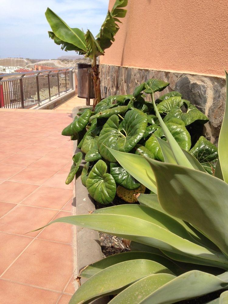 Balcon Del Mar Aparthotel Porto Rico Exterior foto